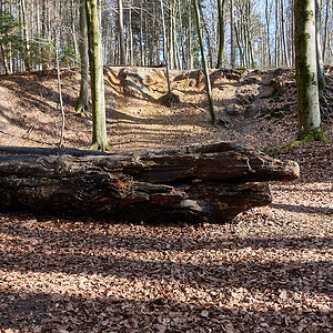 _DSC2090.jpg