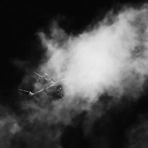 A 400-1_BW 1.jpg