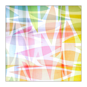83/365 Sia – A World I Don’t Know © 2026 Sabine Lommatzsch