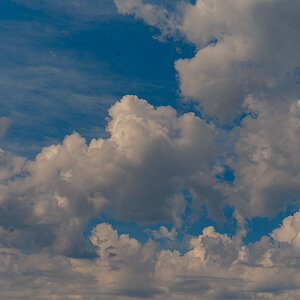 DSCF2898.jpg