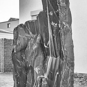 DSCF0093-sw.jpg