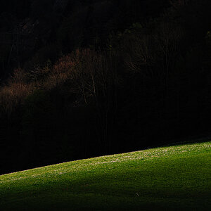 Licht.jpg