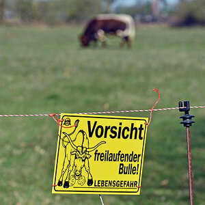 schild_bulle.jpg