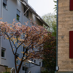 DSCF2940.jpg