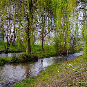 DSCF2973.jpg