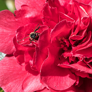 260416-005-2.jpg