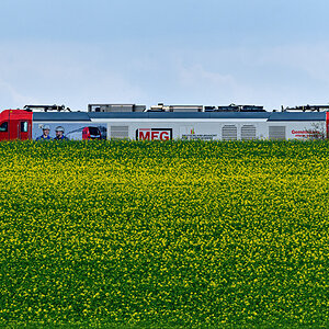OF5_53687.jpg