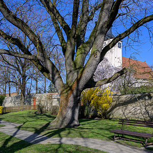 OFZ_04117.jpg