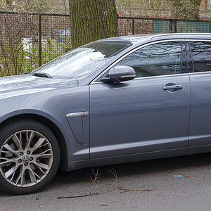 T51X0883-1.JPG