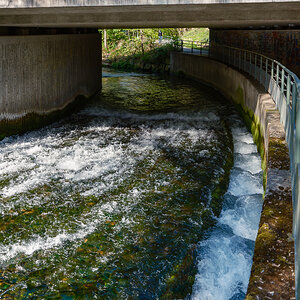 DSCF2938.jpg