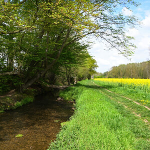 Amstelbach