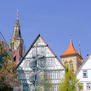 DSCF0137.jpg