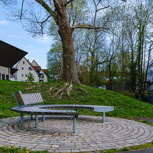 DSCF2975.jpg