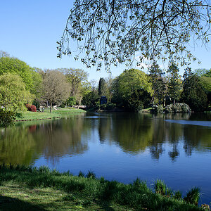Riensberger See.jpg