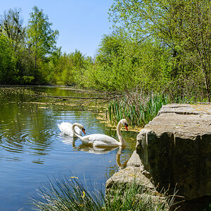 DSCF0192.jpg