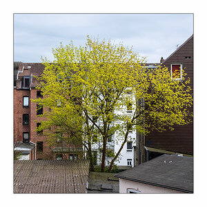 108/365 Zoe Wees – Don't Give Up © 2026 Sabine Lommatzsch