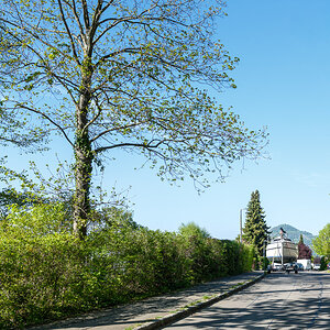 DSCF0225.jpg