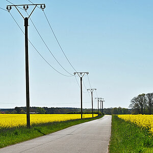 Country Road.jpg