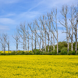 OFZ_04359.jpg