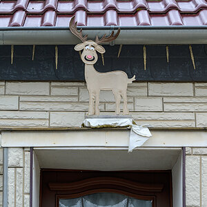 OFZ_03740.jpg