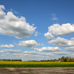 OFZ_04292.jpg