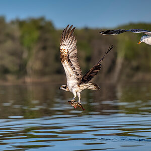 _GZ84590_hdr.jpg