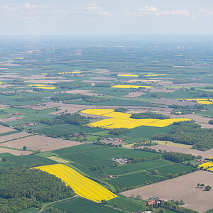 20260502 Münsterland-7.jpg