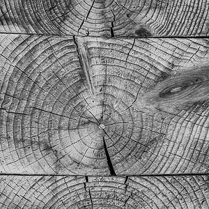 Holz.jpg