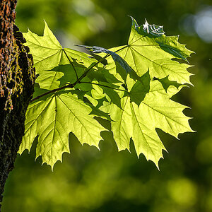 OF5_53967.jpg