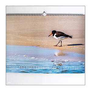 126/365 AnnenMayKantereit – 3 Tage am Meer © 2026 Sabine Lommatzsch