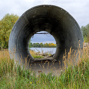 OFZ_02550.jpg