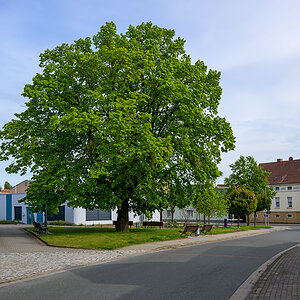OFZ_04395.jpg