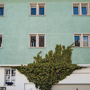 fassade.jpg