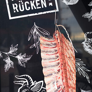 Rücken.jpg