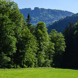 Jura.jpg