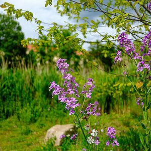 DSCF0412.jpg