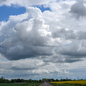 OF2_77337.jpg