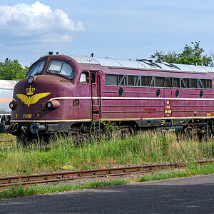 OF2_77444.jpg