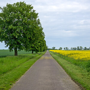 OFZ_04679.jpg
