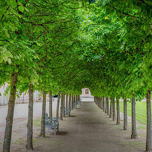 ZHG_3985-Bearbeitet.jpg