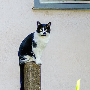 DSCF0519.jpg