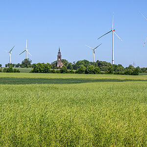 OFZ_04833.jpg