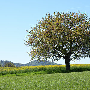 DSC_8289.JPG