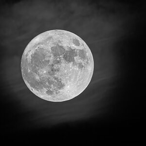 OF5_54295sw.jpg