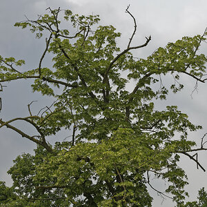 _Z509528_DxOAxl.jpg