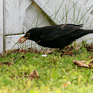 OF5_54318.jpg