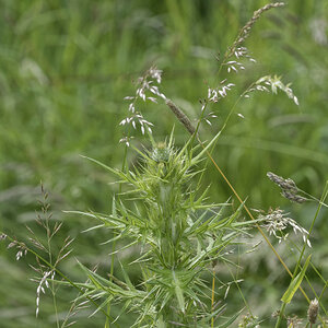 _Z509548_DxOPxl.jpg
