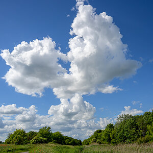 OFZ_05240.jpg