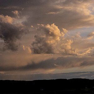 P6020011.jpg