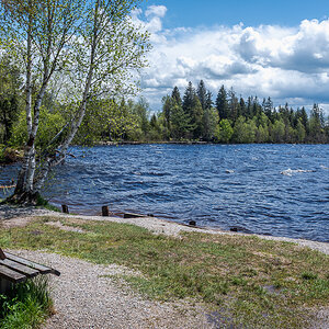 _D751087.jpg